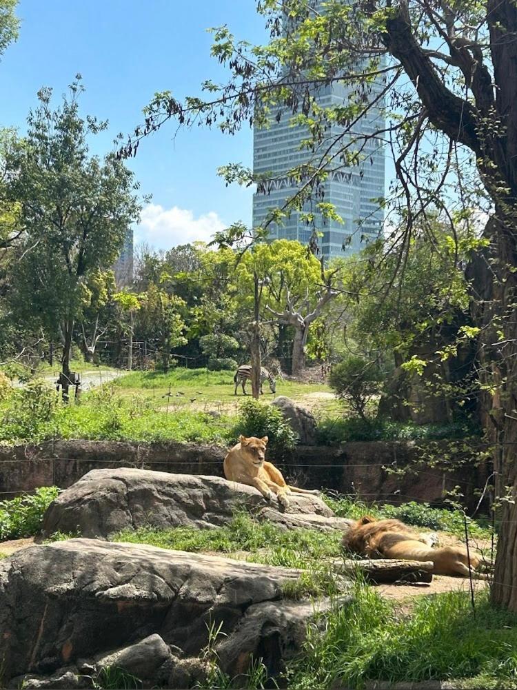 Reifa宿泊動物園前2 Osaka Ngoại thất bức ảnh